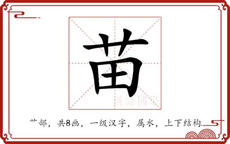 苗意思|苗：苗的意思/造詞/解釋/注音